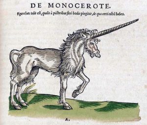 De Monocerote. Einhorn, aus Historiea animalum, Conrad Gesner, 1551